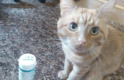 Поливитаминный комплекс Canina Cat-Mineral Tabs 75 г / 150 таблеток (4027565220922) фото от покупателей 5