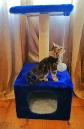Будиночок когтеточка для кота дряпка для кішки Мур-Мяу Котедж 34x34x67 см в сизалевій мотузці Сірий