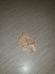 Гигиенический наполнитель для грызунов со свежим запахом яблока Rettenmaier Chipsi Green Apple 60 л (тырса) фото от покупателей 4