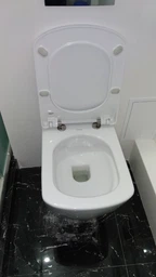 Унитаз подвесной CREAVIT Elegant Rim-Off EG321-11CB00E-0000 + сиденье Soft Close KC1103.01.0000E дюропласт фото от покупателей 4