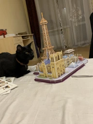 3D-пазл CubicFun City Line Paris (MC254h) (6944588202545) фото від покупців 1