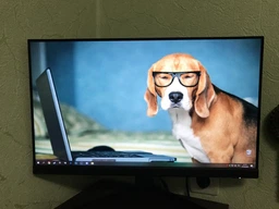 Монітор 23.8" MSI Optix G241