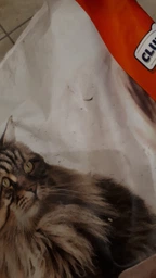 Сухий корм для котів з куркою Club 4 Paws Клуб 4 Лапи для виведення шерсті 2 кг (4820215369428) фото от покупателей 13