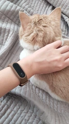 Xiaomi Mi Band 2 Black (Международная версия)