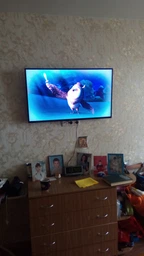 Телевізор Sony KDL43WF805BR Black фото від покупців 2