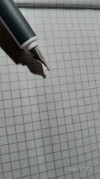 Ручка пір'яна для каліграфії Herlitz Nicewriter Dark Shale 3 змінних пера Чорно-білий корпус (11360286) фото від покупців 1