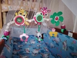 Розвиваюча дуга Tiny Love Мрії Принцеси