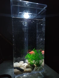 Маленький самоочищающийся аквариум My Fun Fish наноаквариум для рыб | аквариумный набор (комплект) (1007703-Other-1) фото от покупателей 3