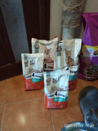 Сухий корм з куркою Club 4 Paws Клуб 4 Лапи для котів з чутливим травленням 2 кг (4820215368773) фото от покупателей 4