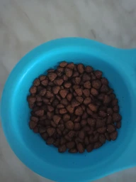 Сухой корм для стерилизованных и кастрированных кошек Carpathian Pet Food Inactive с курицей и атлантическим палтусом 1,5 кг фото от покупателей 11