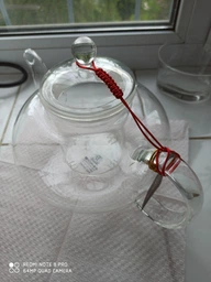 Чайник заварочный Wilmax Thermo с фильтром 0.62 л (WL-888812) фото от покупателей 11