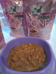 Упаковка влажного корма для котят Purina One Junior с лососем и морковью 26х85 г (7613287901965)