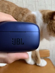 Навушники бездротові JBL Live 300TWS Purple (JBLLIVE300TWSPUR) фото від покупців 2