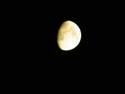 Цифровая фотокамера Canon Powershot SX420 IS Black (1068C012) (официальная гарантия) фото от покупателей 8