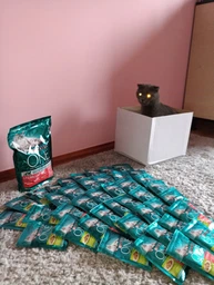 Сухой корм для взрослых стерилизованных кошек Purina One Sterilcat с говядиной 1.4 кг (8445291792401) фото от покупателей 15