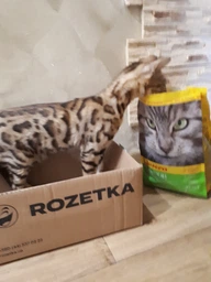 Сухой корм Josera Sensicat для кошек с чувствительным пищеварением 2 кг фото от покупателей 18