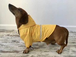 Куртка-дощовик для собак Noble Pet Moss Blue 7XL (M4106/7XL)