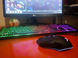 Мышь Real-El RM-550 USB Black (EL123200027) фото от покупателей 15