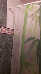 Шторка - занавеска для ванной Мій Дім Green Bamboo 180х180 cм NJ10109 фото от покупателей 3