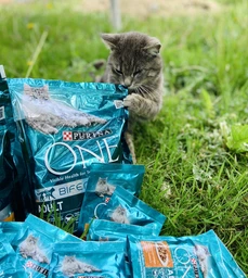 Сухий корм для стерилізованих кішок Purina One Sterilcat з куркою 1500 г фото від покупців 3