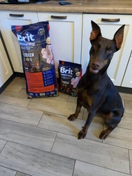 Сухой корм для взрослых собак больших пород Brit Premium Adult L 3 кг фото от покупателей 19