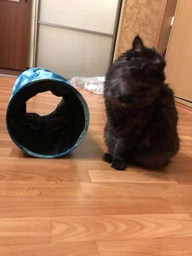 Тунель Trixie для котів ігровий текстиль 25х50 см рожевий 1111115586 фото від покупців 2