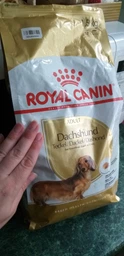 Сухий корм для собак породи такса від 10 місяців Royal Canin dachshund Adult 1,5 кг 3059015 фото від покупців 4