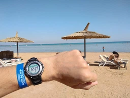 Мужские часы CASIO SGW-100-1VEF