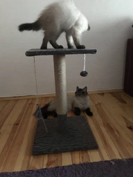 Когтеточка Природа "Феликс" Микс, 36х36х54 см