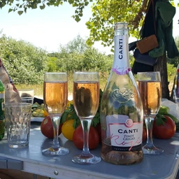 Вино ігристе Canti Pinot Grigio Brut Rose Рожеве брют 0.75 л 11% (8005415045341) фото від покупців 2