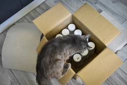 Сухой корм Nutra Mix Hairball Formula Super Premium 9.07 кг выведение шерсти фото от покупателей 16