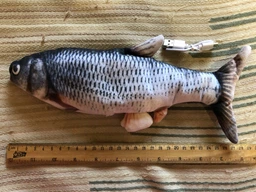 Іграшка для кота вібруюча жива риба CAPSBOARD FISH (340002) фото від покупців 14