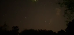 Штатив - монопод 2 в 1 с пультом Yunteng YT-9928 фото от покупателей 15