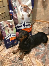 Сухий корм Club 4 Paws Premium для собак середніх порід 2 кг (4820083909702) фото від покупців 1
