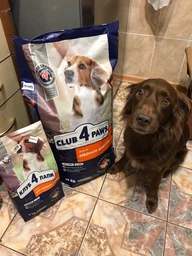 Сухий корм Club 4 Paws Premium для собак середніх порід 2 кг (4820083909702)