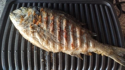Гриль TEFAL OptiGrill+ GC712D34 фото от покупателей 6