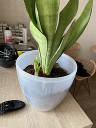 Горшок для цветов DECO-TWIN 2,5 л нефрит