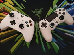 Силіконові накладки на аналогові стики Honson Dualshock 4 чорний з білою окантовкою 2 шт.