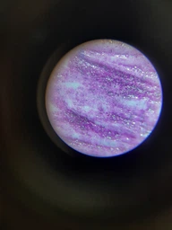 Микроскоп учебный школьный детский My First Lab MFL-06 (MFL-066340NEW) фото от покупателей 13