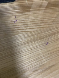 Скатертину на стіл DecorProtect М'яке скло 900х600х2.5 мм (MS250001) фото від покупців 10