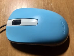 Мишка Genius dx-120 usb Blue (31010105103) фото від покупців 4