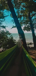 Гамак KingCamp Canvas Hammock Apple Green (KG3752/59) фото от покупателей 5