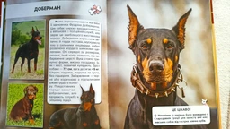 Світ навколо нас. Собаки (9789669367488) фото от покупателей 1
