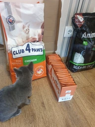 Сухий корм для кішок Club 4 Paws Преміум. Для кошенят зі смаком курки 300 г (4820083909115) фото від покупців 1