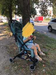 Прогулочная коляска Chicco Trolley Me Серая (79865.28) фото от покупателей 2