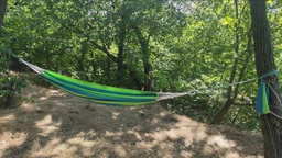 Гамак KingCamp Canvas Hammock Apple Green (KG3752/59) фото от покупателей 4