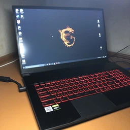 Ноутбук MSI GF75 Thin 10SDR (GF7510SDR-293XUA) Black фото от покупателей 1