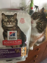 Сухой Корм HILL'S SCIENCE PLAN Adult Sensitive Stomach & Skin ​​для Кошек с Курицей 7 кг фото от покупателей 2