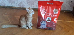 Наполнитель для кошачьего туалета Van Cat Super Premium Quality Natural Бентонитовый комкующий 5 кг (6 л) (8699245857726/8699245856163) фото от покупателей 12