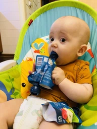 Фруктове пюре Gerber Яблуко та персик з 6 місяців 90 г (7613036345460) фото від покупців 18